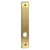 Andersen Anvers Style (Passive-Panel) Interior Escutcheon Plate in Bright Brass finish | WindowParts.com.