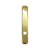 Andersen Newbury Style (Passive-Panel) Exterior Escutcheon Plate in Bright Brass finish | WindowParts.com.